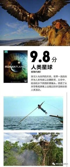 足不出戶看世界 9部堪稱神級的BBC紀錄片，暑假陪孩子一起漲知識